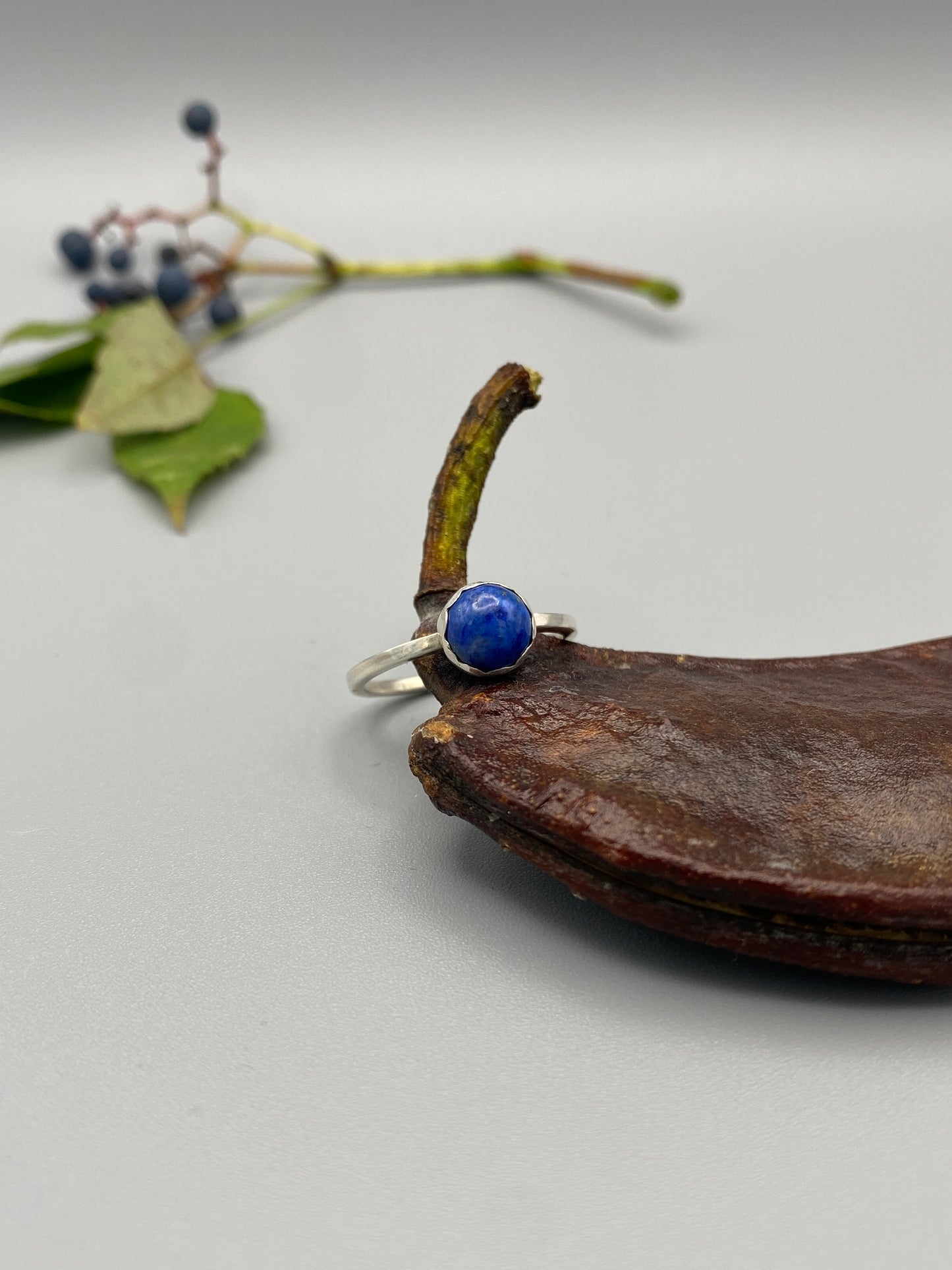 little blue bug